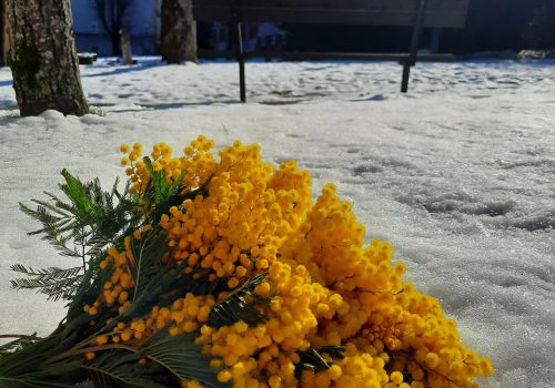 Europski tjedan prevencije raka vrata maternice