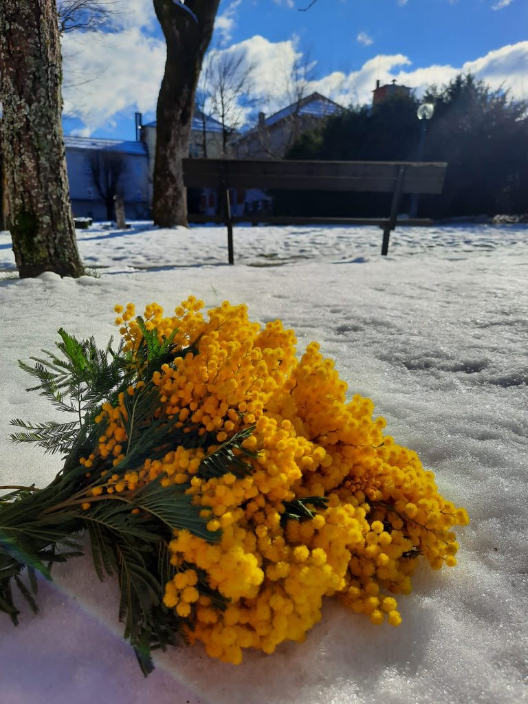 Europski tjedan prevencije raka vrata maternice